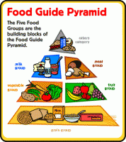 /album/unit-5/food-pyramid-for-kids-pyrdtwo-gif/